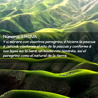 Picture 02 - Números 9:14 RVA - Y si morare con vosotros peregrino, é hiciere la - Bible Verse Picture