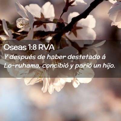 Picture 02 - Oseas 1:8 RVA - Y después de haber destetado á Lo-ruhama, - Bible Verse Picture