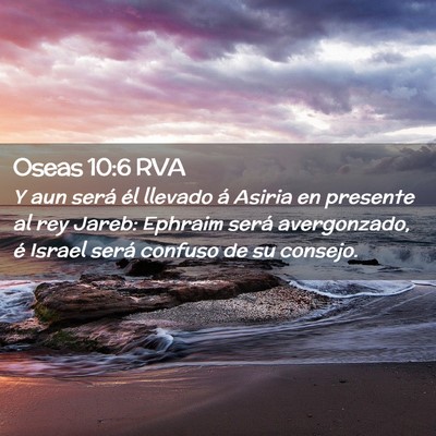 Picture 02 - Oseas 10:6 RVA - Y aun será él llevado á Asiria en presente al - Bible Verse Picture