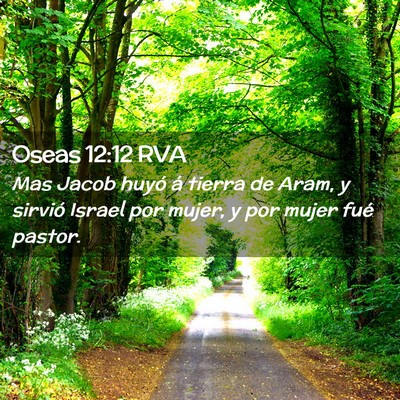 Picture 02 - Oseas 12:12 RVA - Mas Jacob huyó á tierra de Aram, y sirvió - Bible Verse Picture