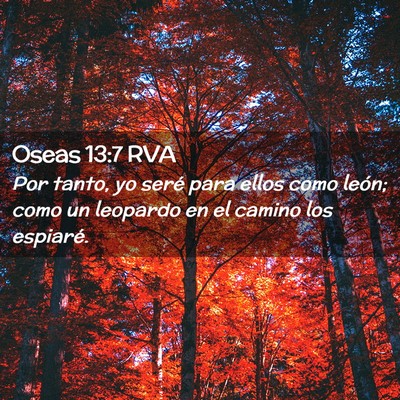 Picture 02 - Oseas 13:7 RVA - Por tanto, yo seré para ellos como león; como - Bible Verse Picture