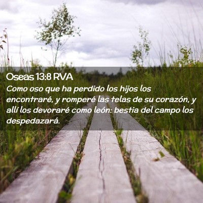 Picture 02 - Oseas 13:8 RVA - Como oso que ha perdido los hijos los - Bible Verse Picture