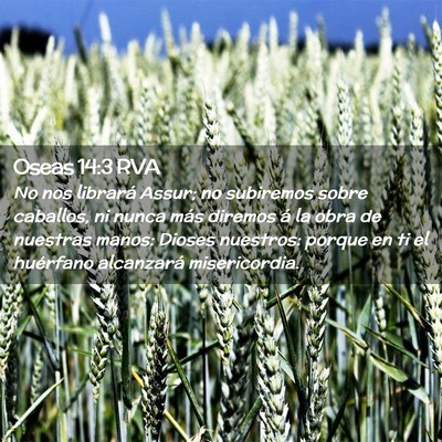 Picture 02 - Oseas 14:3 RVA - No nos librará Assur; no subiremos sobre - Bible Verse Picture
