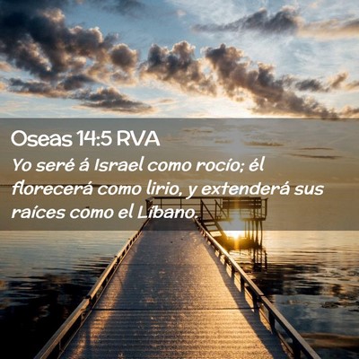 Picture 02 - Oseas 14:5 RVA - Yo seré á Israel como rocío; él florecerá - Bible Verse Picture