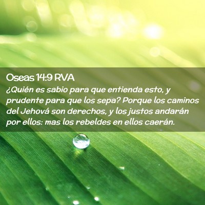 Picture 02 - Oseas 14:9 RVA - ¿Quién es sabio para que entienda esto, y - Bible Verse Picture