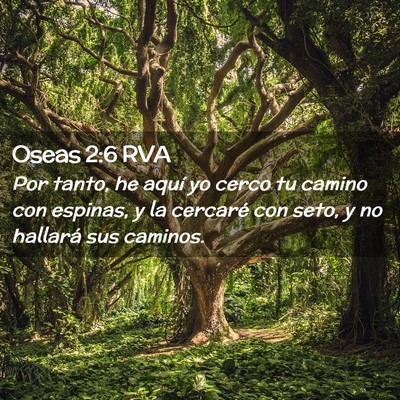 Picture 02 - Oseas 2:6 RVA - Por tanto, he aquí yo cerco tu camino con - Bible Verse Picture