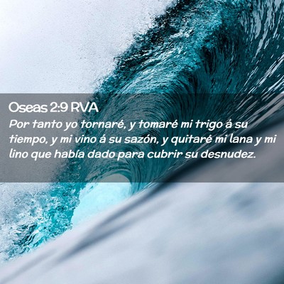 Picture 02 - Oseas 2:9 RVA - Por tanto yo tornaré, y tomaré mi trigo á su - Bible Verse Picture