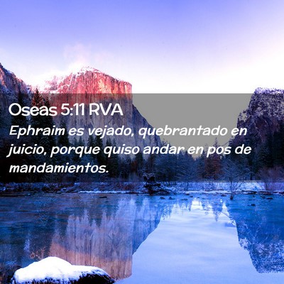 Picture 02 - Oseas 5:11 RVA - Ephraim es vejado, quebrantado en juicio, porque - Bible Verse Picture