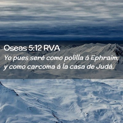 Picture 02 - Oseas 5:12 RVA - Yo pues seré como polilla á Ephraim, y como - Bible Verse Picture