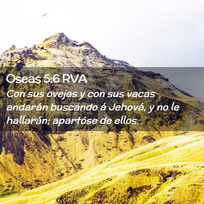 Picture 02 - Oseas 5:6 RVA - Con sus ovejas y con sus vacas andarán buscando - Bible Verse Picture