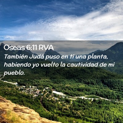 Picture 02 - Oseas 6:11 RVA - También Judá puso en ti una planta, habiendo yo - Bible Verse Picture