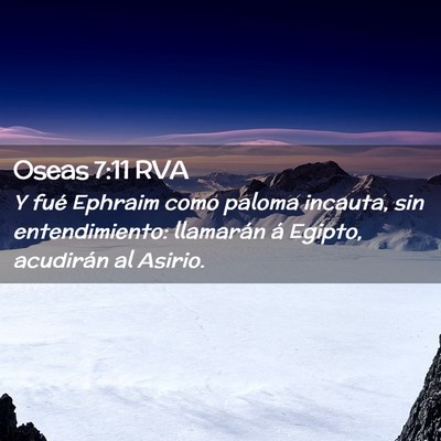 Picture 02 - Oseas 7:11 RVA - Y fué Ephraim como paloma incauta, sin - Bible Verse Picture