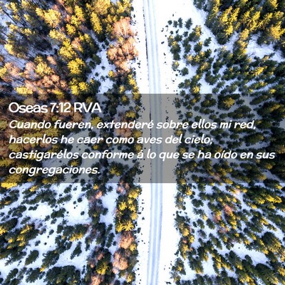 Picture 02 - Oseas 7:12 RVA - Cuando fueren, extenderé sobre ellos mi red, - Bible Verse Picture