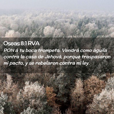 Picture 02 - Oseas 8:1 RVA - PON á tu boca trompeta. Vendrá como águila - Bible Verse Picture