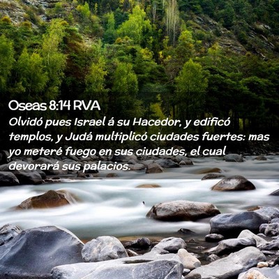 Picture 02 - Oseas 8:14 RVA - Olvidó pues Israel á su Hacedor, y edificó - Bible Verse Picture