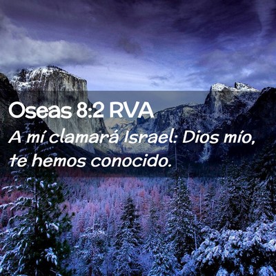 Picture 02 - Oseas 8:2 RVA - A mí clamará Israel: Dios mío, te hemos - Bible Verse Picture