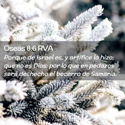 Picture 02 - Oseas 8:6 RVA - Porque de Israel es, y artífice lo hizo; que no - Bible Verse Picture