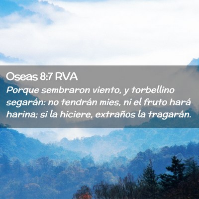 Picture 02 - Oseas 8:7 RVA - Porque sembraron viento, y torbellino segarán: - Bible Verse Picture
