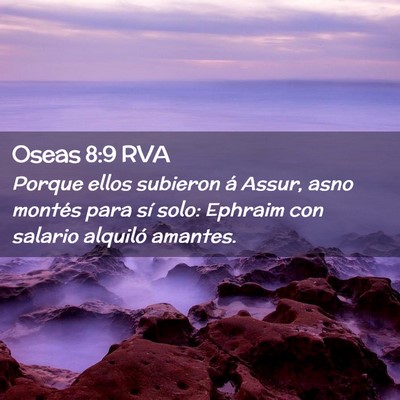 Picture 02 - Oseas 8:9 RVA - Porque ellos subieron á Assur, asno montés para - Bible Verse Picture