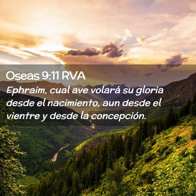 Picture 02 - Oseas 9:11 RVA - Ephraim, cual ave volará su gloria desde el - Bible Verse Picture