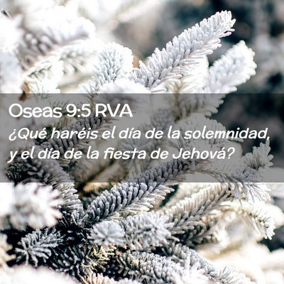 Picture 02 - Oseas 9:5 RVA - ¿Qué haréis el día de la solemnidad, y el - Bible Verse Picture