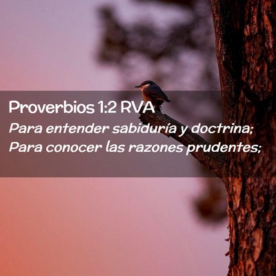 Picture 02 - Proverbios 1:2 RVA - Para entender sabiduría y doctrina; Para conocer - Bible Verse Picture