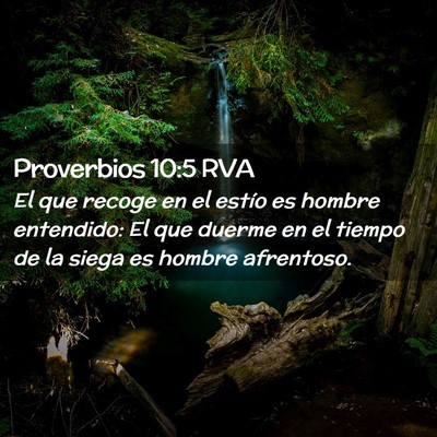Picture 02 - Proverbios 10:5 RVA - El que recoge en el estío es hombre entendido: - Bible Verse Picture