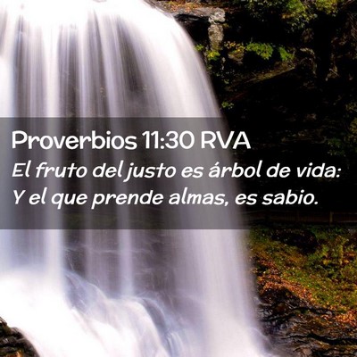Picture 02 - Proverbios 11:30 RVA - El fruto del justo es árbol de vida: Y el que - Bible Verse Picture