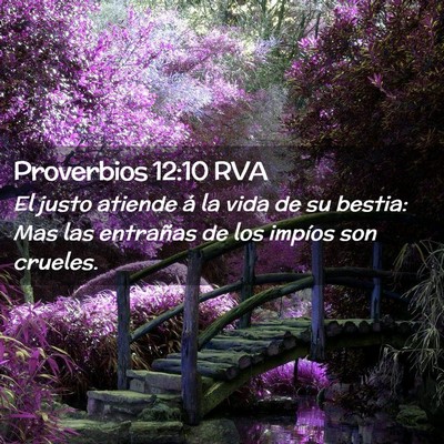 Picture 02 - Proverbios 12:10 RVA - El justo atiende á la vida de su bestia: Mas las - Bible Verse Picture