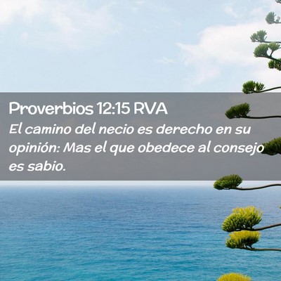 Picture 02 - Proverbios 12:15 RVA - El camino del necio es derecho en su opinión: - Bible Verse Picture