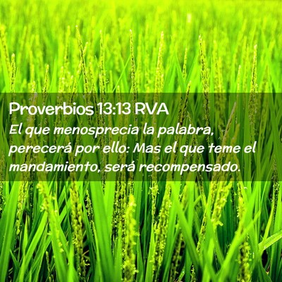 Picture 02 - Proverbios 13:13 RVA - El que menosprecia la palabra, perecerá por - Bible Verse Picture
