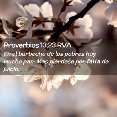 Picture 02 - Proverbios 13:23 RVA - En el barbecho de los pobres hay mucho pan: Mas - Bible Verse Picture