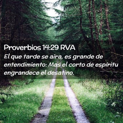 Picture 02 - Proverbios 14:29 RVA - El que tarde se aira, es grande de entendimiento: - Bible Verse Picture