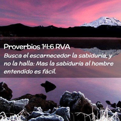 Picture 02 - Proverbios 14:6 RVA - Busca el escarnecedor la sabiduría, y no la - Bible Verse Picture