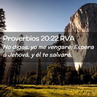 Picture 02 - Proverbios 20:22 RVA - No digas, yo me vengaré; Espera á Jehová, y - Bible Verse Picture