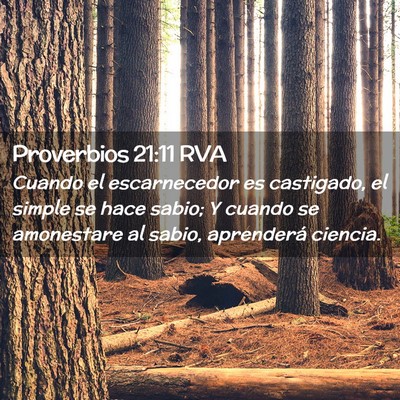Picture 02 - Proverbios 21:11 RVA - Cuando el escarnecedor es castigado, el simple se - Bible Verse Picture