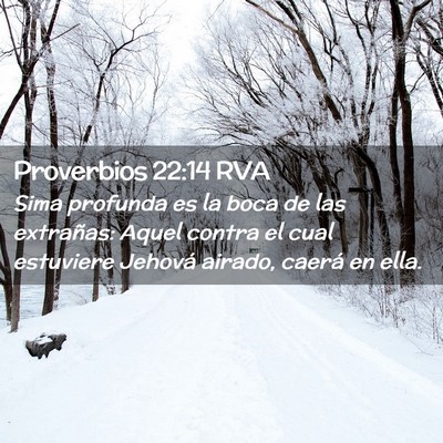 Picture 02 - Proverbios 22:14 RVA - Sima profunda es la boca de las extrañas: Aquel - Bible Verse Picture