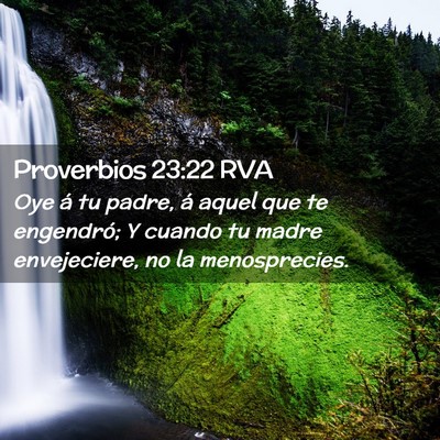 Picture 02 - Proverbios 23:22 RVA - Oye á tu padre, á aquel que te engendró; Y - Bible Verse Picture