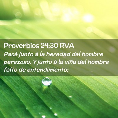 Picture 02 - Proverbios 24:30 RVA - Pasé junto á la heredad del hombre perezoso, Y - Bible Verse Picture