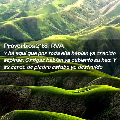 Picture 02 - Proverbios 24:31 RVA - Y he aquí que por toda ella habían ya crecido - Bible Verse Picture