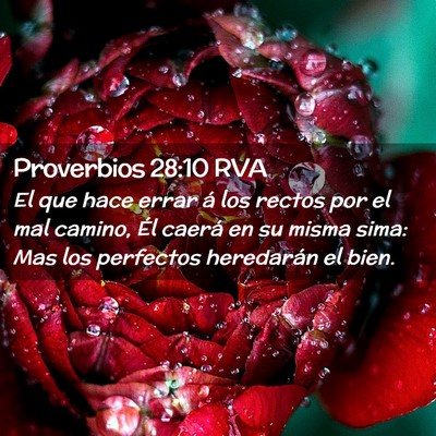 Picture 02 - Proverbios 28:10 RVA - El que hace errar á los rectos por el mal - Bible Verse Picture