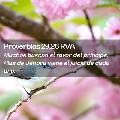 Picture 02 - Proverbios 29:26 RVA - Muchos buscan el favor del príncipe: Mas de - Bible Verse Picture