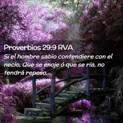 Picture 02 - Proverbios 29:9 RVA - Si el hombre sabio contendiere con el necio, Que - Bible Verse Picture