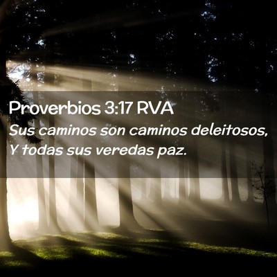 Picture 02 - Proverbios 3:17 RVA - Sus caminos son caminos deleitosos, Y todas sus - Bible Verse Picture