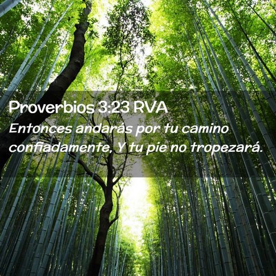 Picture 02 - Proverbios 3:23 RVA - Entonces andarás por tu camino confiadamente, Y - Bible Verse Picture
