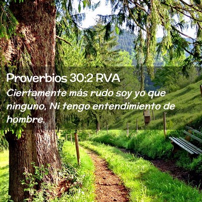 Picture 02 - Proverbios 30:2 RVA - Ciertamente más rudo soy yo que ninguno, Ni - Bible Verse Picture