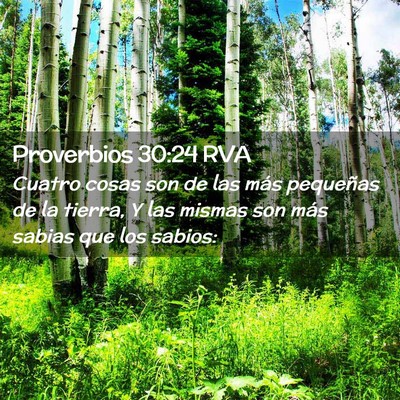 Picture 02 - Proverbios 30:24 RVA - Cuatro cosas son de las más pequeñas de la - Bible Verse Picture