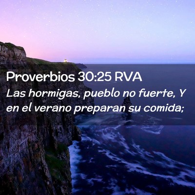 Picture 02 - Proverbios 30:25 RVA - Las hormigas, pueblo no fuerte, Y en el verano - Bible Verse Picture