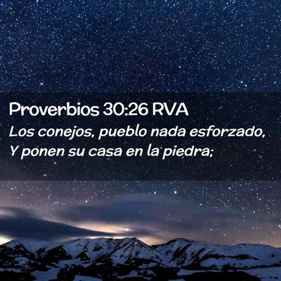 Picture 02 - Proverbios 30:26 RVA - Los conejos, pueblo nada esforzado, Y ponen su - Bible Verse Picture