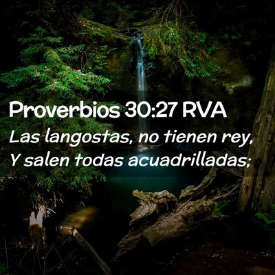 Picture 02 - Proverbios 30:27 RVA - Las langostas, no tienen rey, Y salen todas - Bible Verse Picture